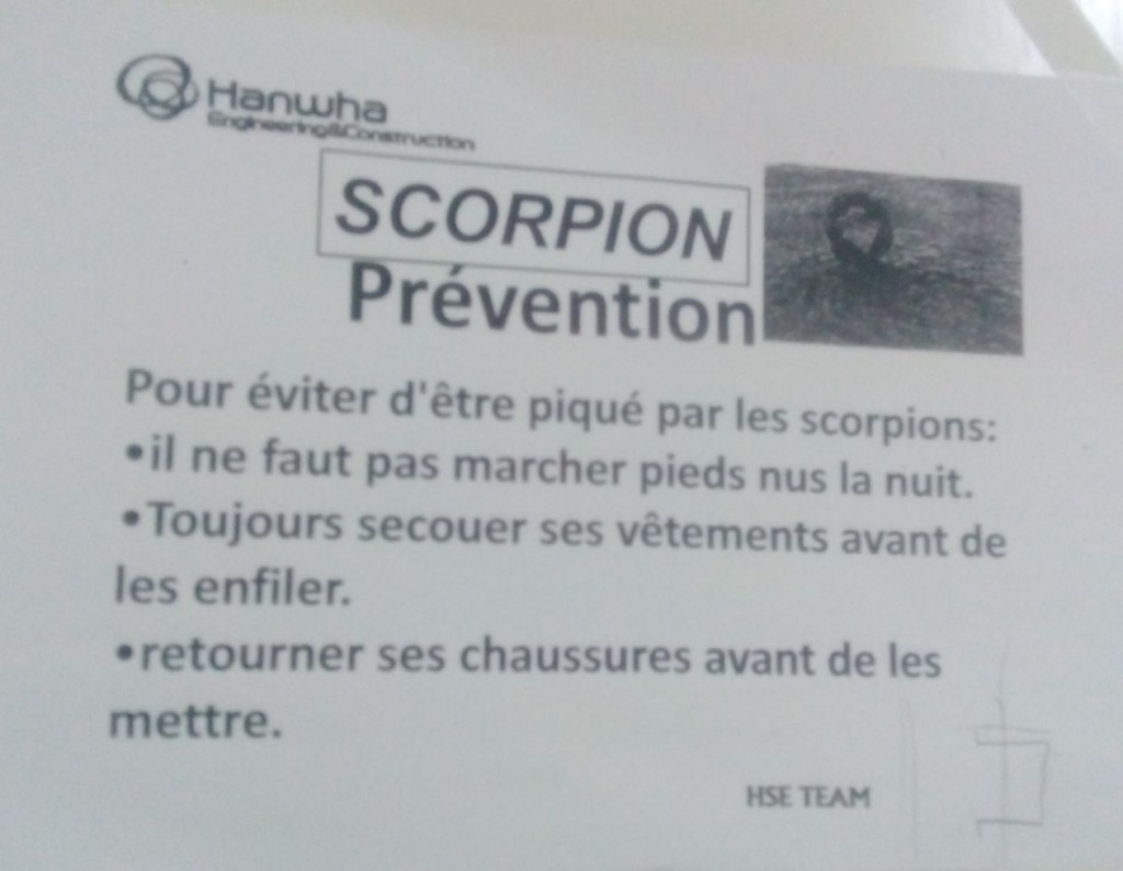 "A skorpió nem játék", tartja az ősi berber közmondás
